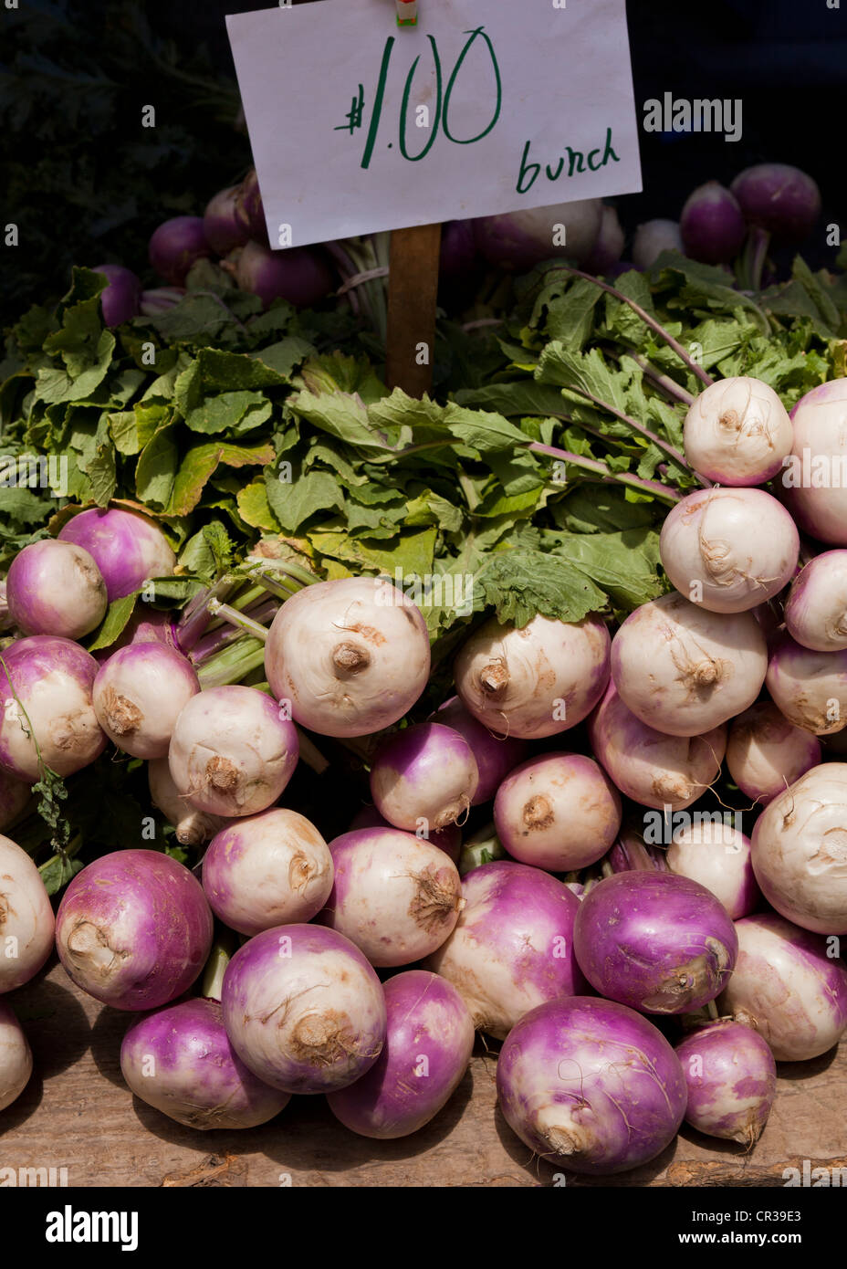 Fresh White Beets At The Farmers Market Stockton California Usa