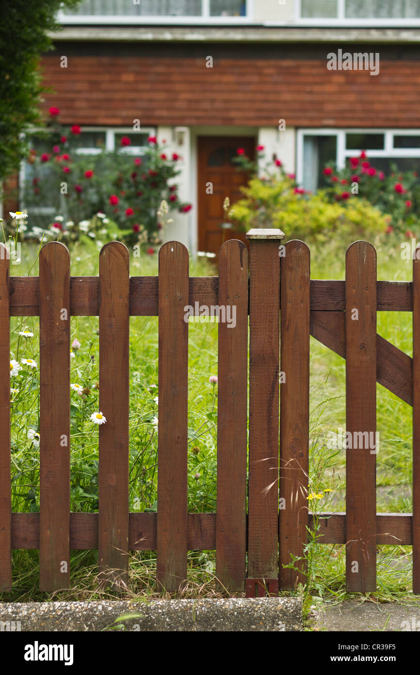 Overgrown front garden and new wooden fence Stock Photo - Alamy