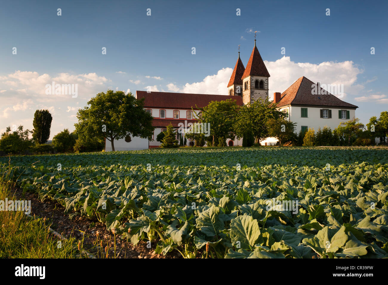 Church of St. Peter and Paul at Niederzell on the island of Reichenau, Lake Constance, Konstanz district, Baden-Wuerttemberg Stock Photo