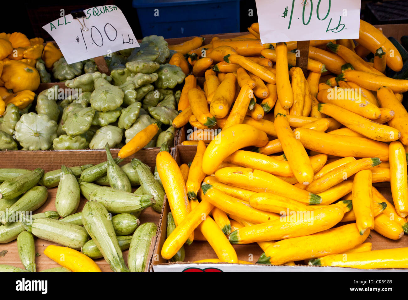 Various squash for sale at the local farmers market Stockton