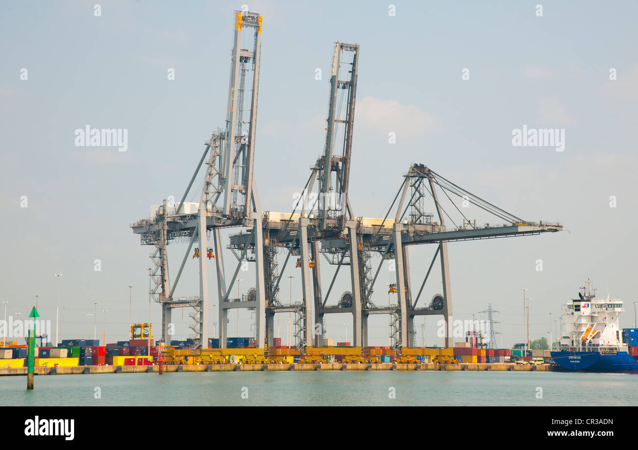 Gantry cranes at the container port Stock Photo