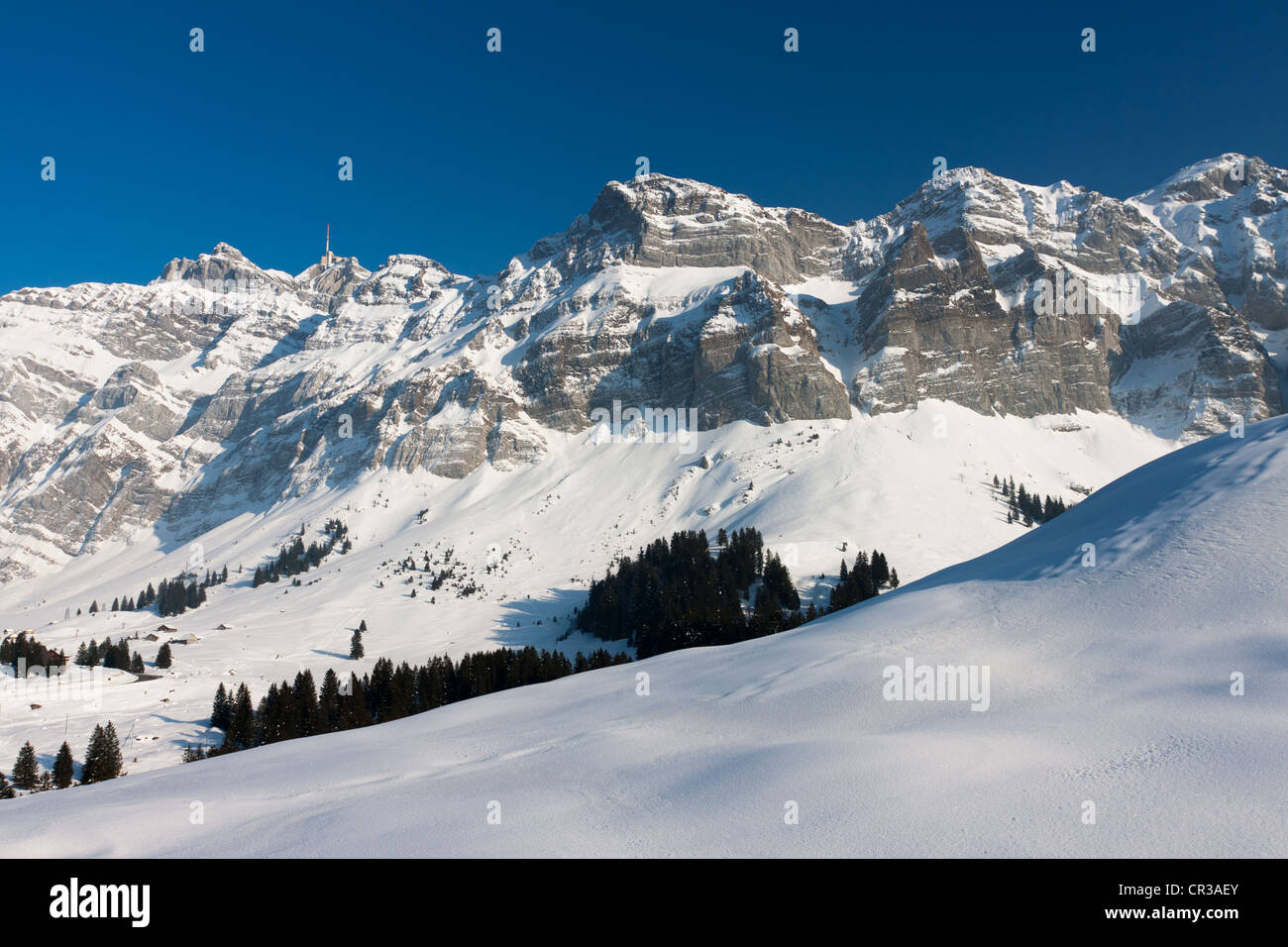 Winter landscape with the Saentis massif, Canton Appenzell-Ausserrhoden, Switzerland, Europe Stock Photo