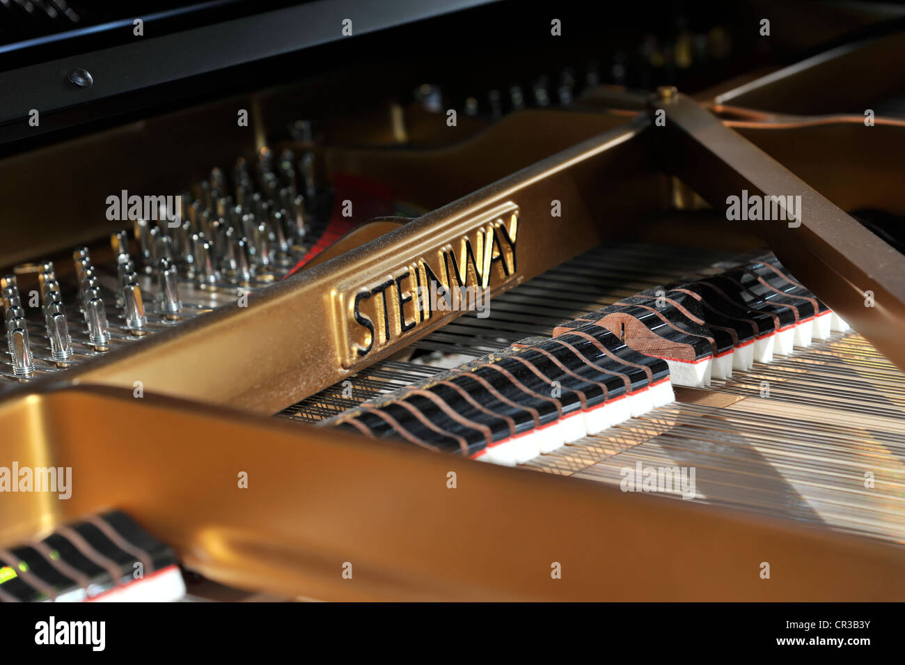 Steinway & Sons grand piano, BMW World, Munich, Bavaria, Germany, Europe Stock Photo