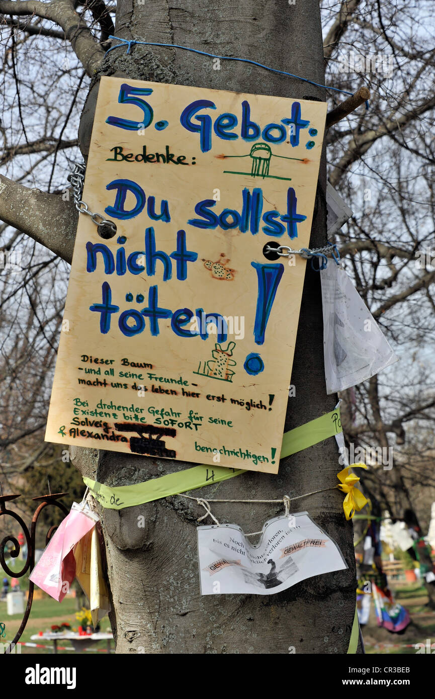 Protest poster, '5. Gebot, Du sollst nicht toeten' or '5th commandment, Thou shalt not kill', on an old tree against the Stock Photo