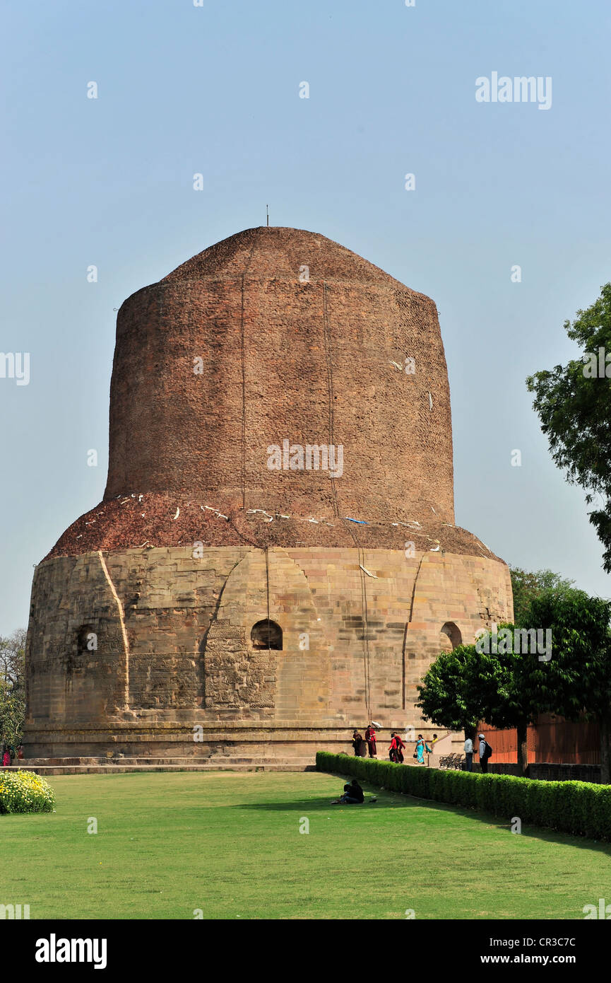 Dhamekh Stupa, Isipatana game park, Sarnath, Uttar Pradesh, India, South Asia Stock Photo