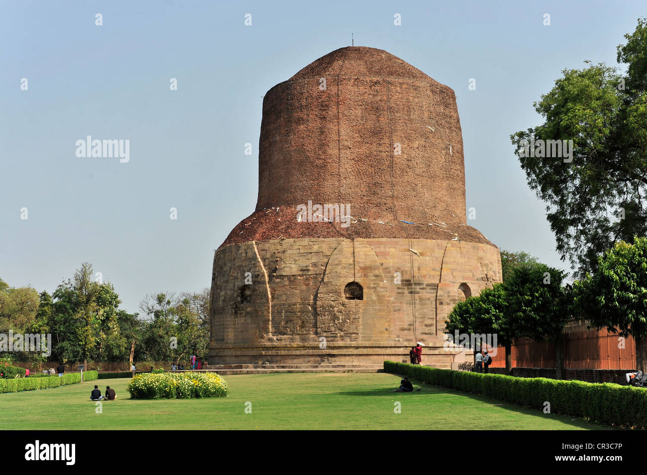 Dhamekh Stupa, Isipatana game park, Sarnath, Uttar Pradesh, India, South Asia Stock Photo