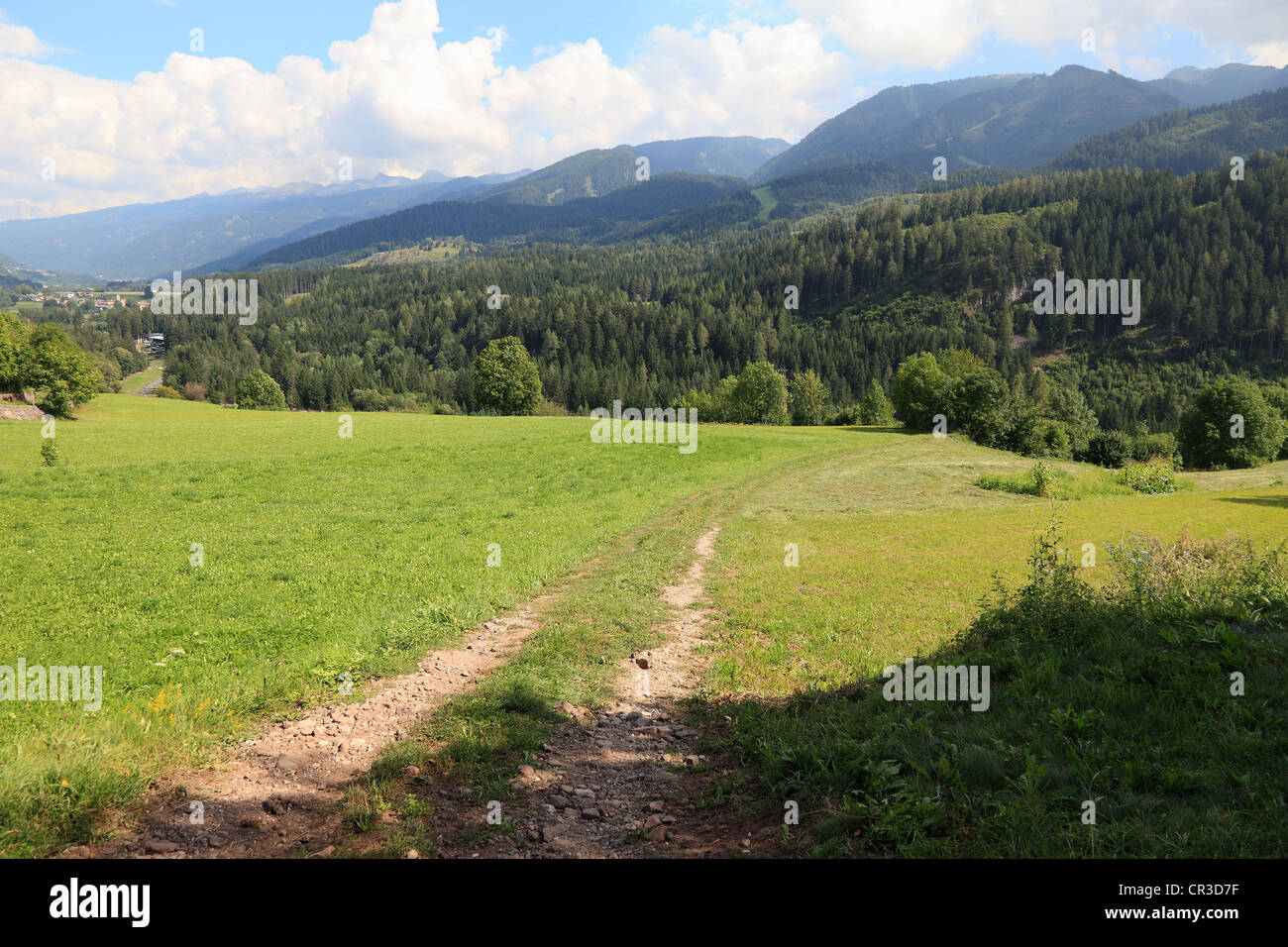 Location Lawns, Cavalese, Trentino Stock Photo