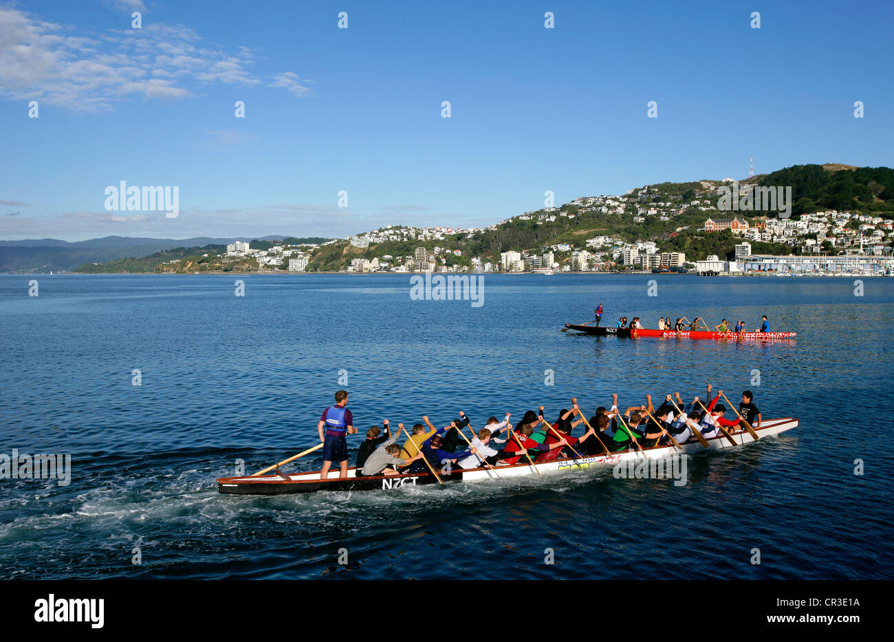 New Zealand, Wellington, Wellington Bay, rowers, pirogues Stock Photo