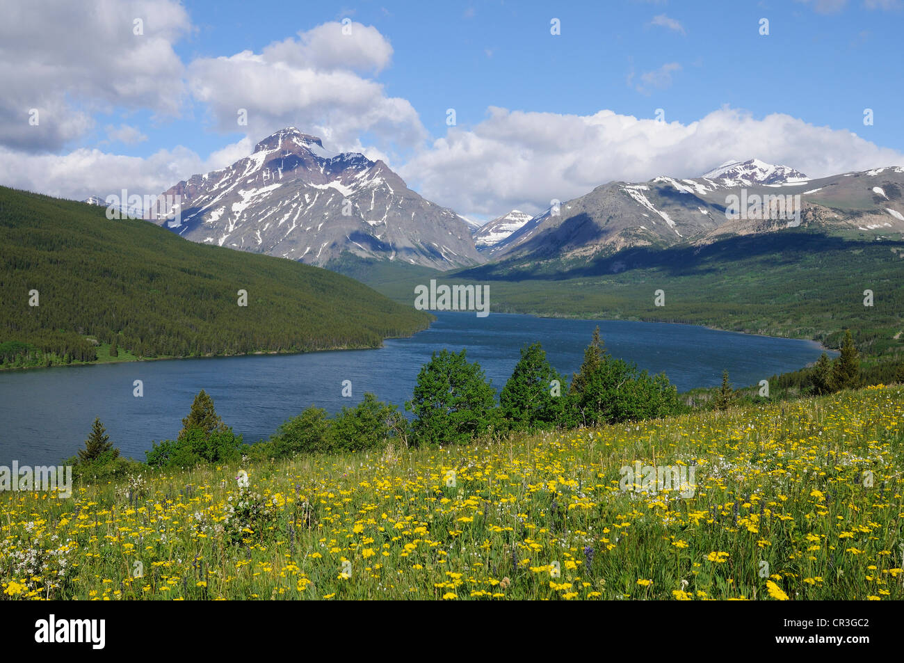 Rising Wolf Mountain, Two Medicine Mountain Lake, Glacier National Park