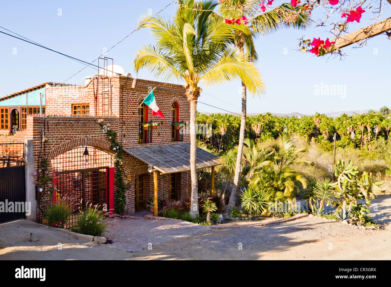 Brick house in "Todos Santos" Baja Mexico Stock Photo Alamy