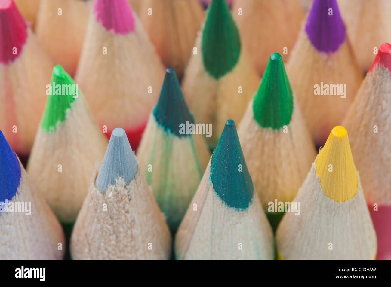 Close up of colored pencil tips Stock Photo Alamy
