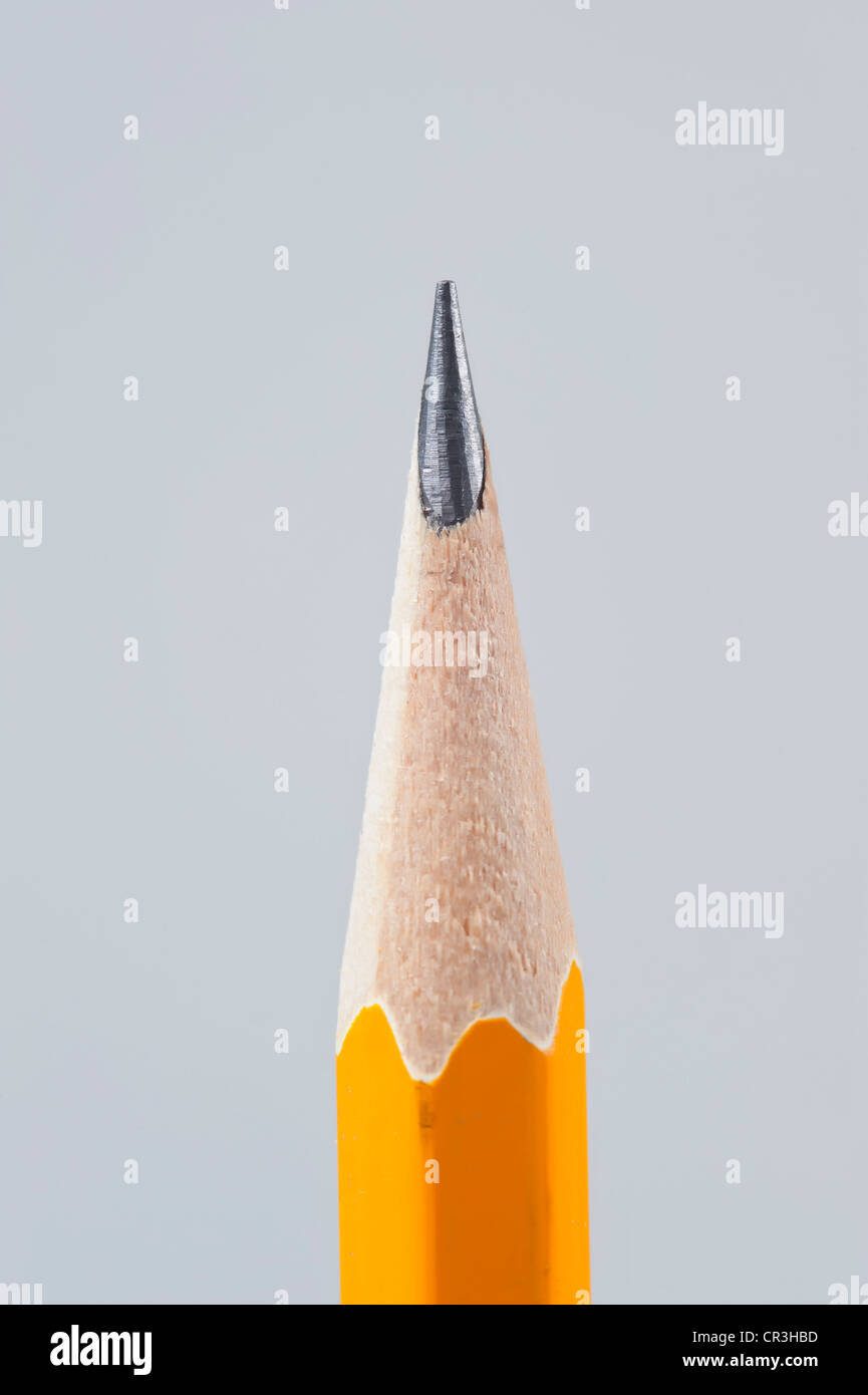 Close up of sharpened pencil tip Stock Photo