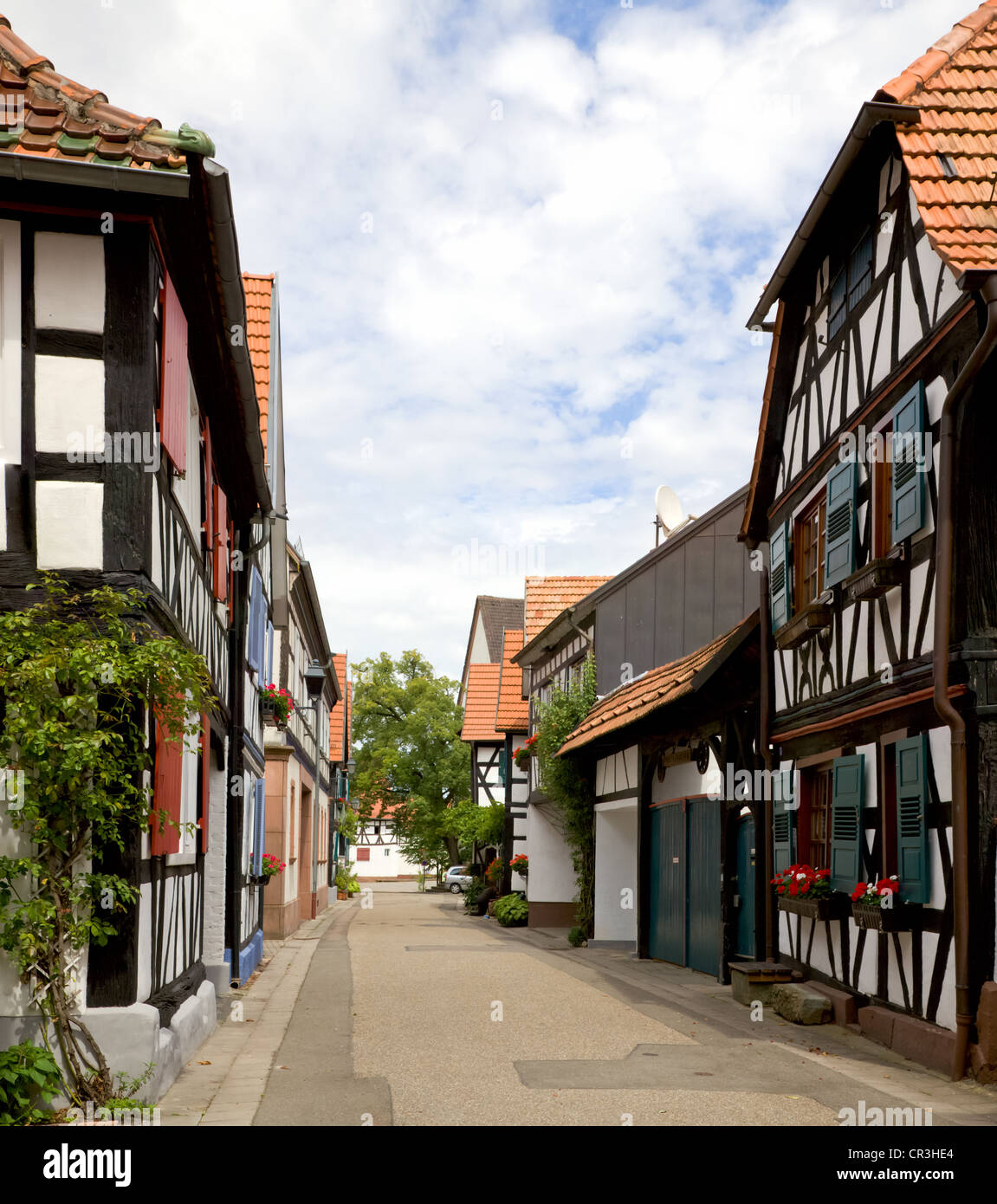 Historic half-timbered houses in Hinnerstaedel in Jockgrim, Pfalz, Rhineland-Palatinate, Germany, Europe Stock Photo