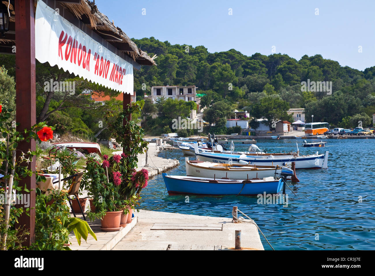 Croatia, Dalmatia, Dalmatian Coast, National Park of Mljet Island, Pomena Harbour Stock Photo