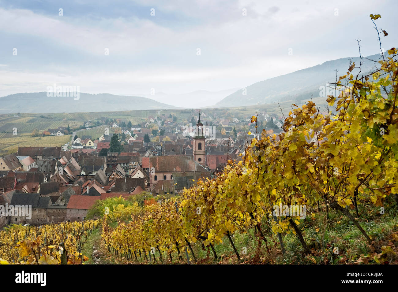 Riquewihr, north of Colmar, Alsace, France, Europe Stock Photo