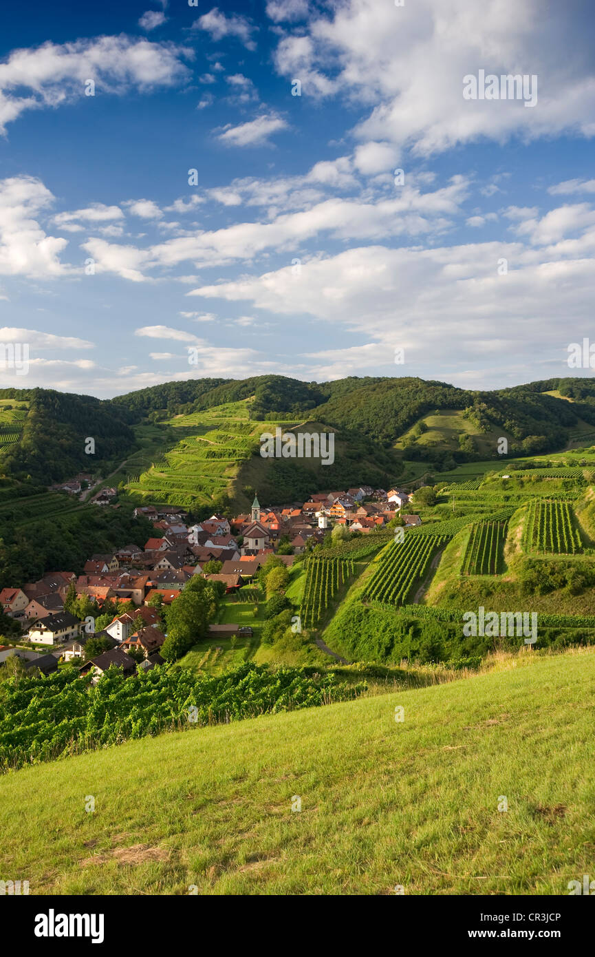 Schelingen and vineyards, Kaiserstuhl mountain range, Baden-Wuerttemberg, Germany, Europe Stock Photo