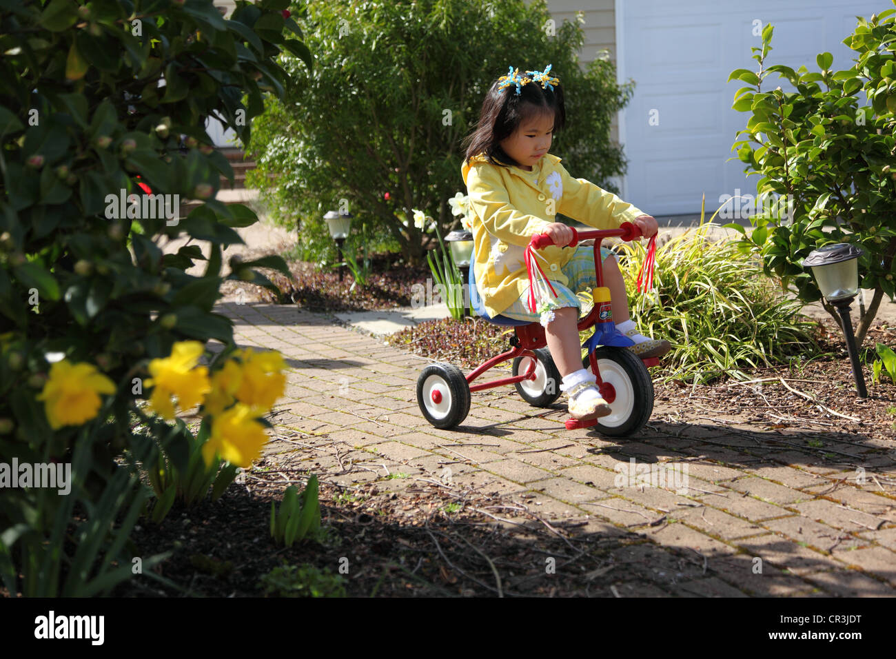 Young girl riding tricycle Stock Photo