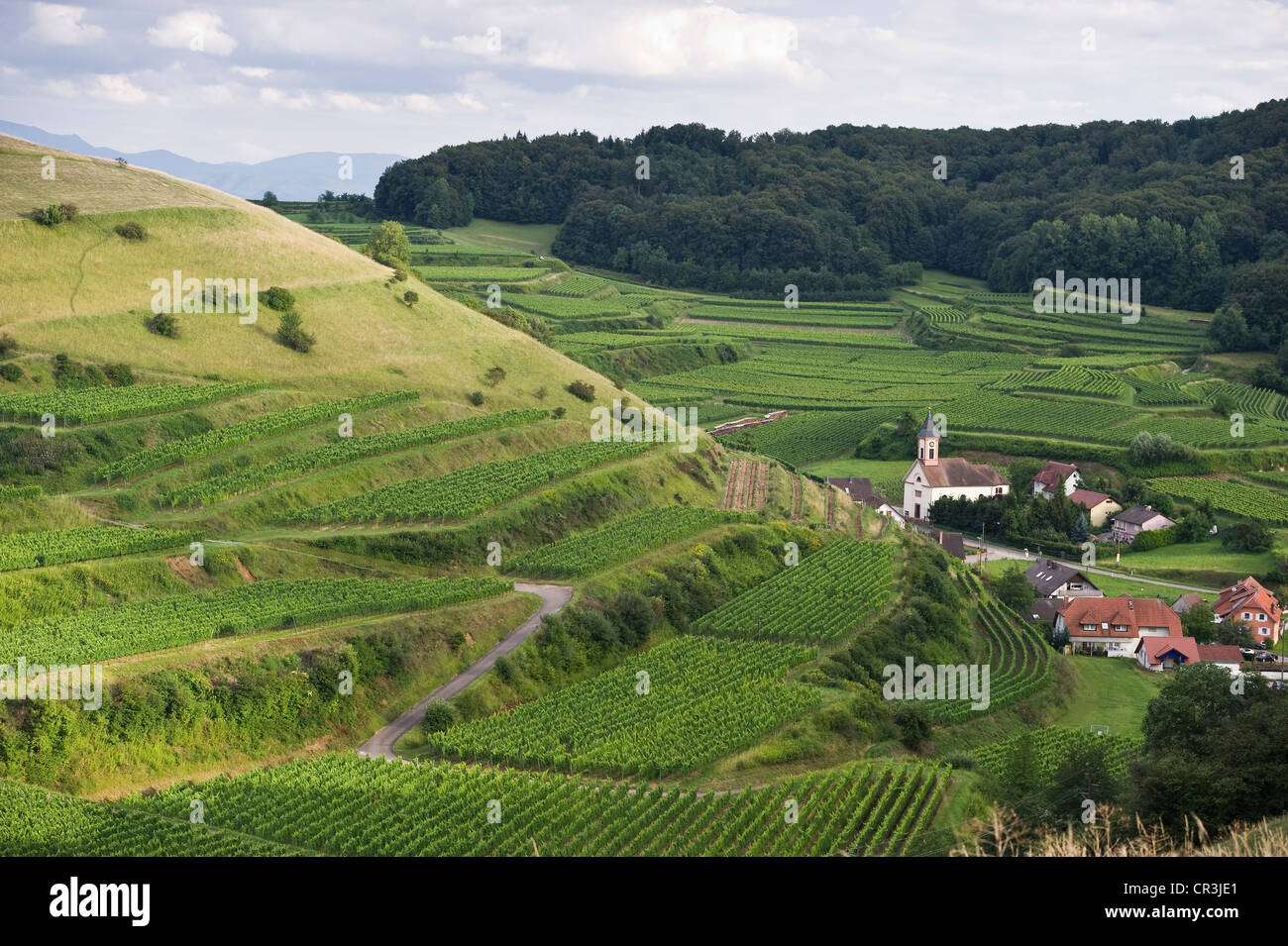 Alt-Vogtsburg and vineyards, Kaiserstuhl mountain range, Baden-Wuerttemberg, Germany, Europe Stock Photo