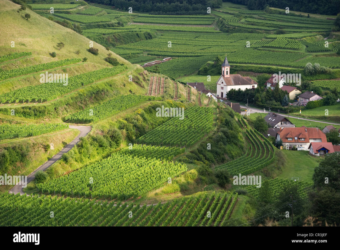 Alt-Vogtsburg and vineyards, Kaiserstuhl mountain range, Baden-Wuerttemberg, Germany, Europe Stock Photo