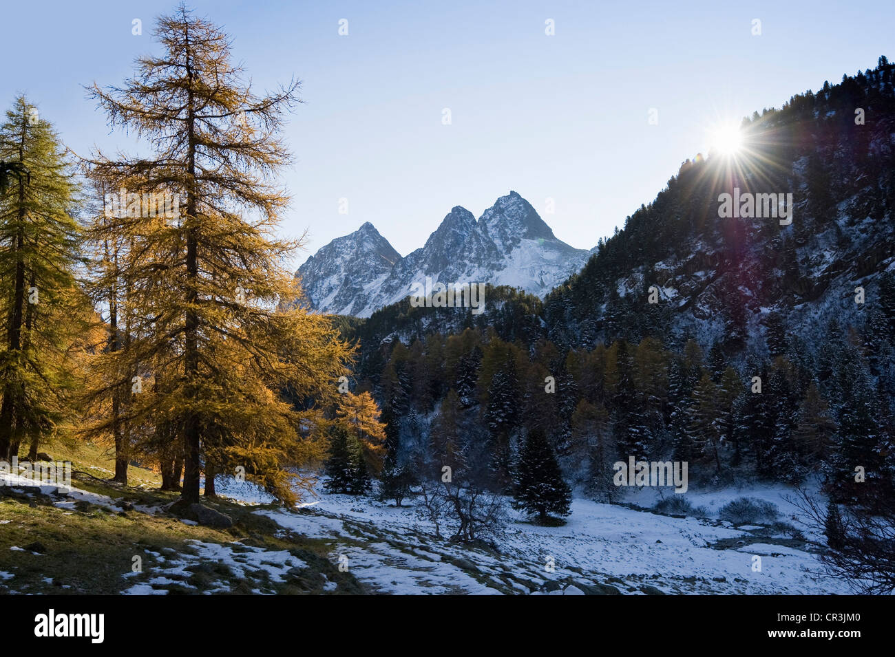 Around Lake Palpuogna, Lai da Palpuogna, with autumnal larches, snow, Berguen, Albula Pass, Canton of Grisons, Switzerland Stock Photo