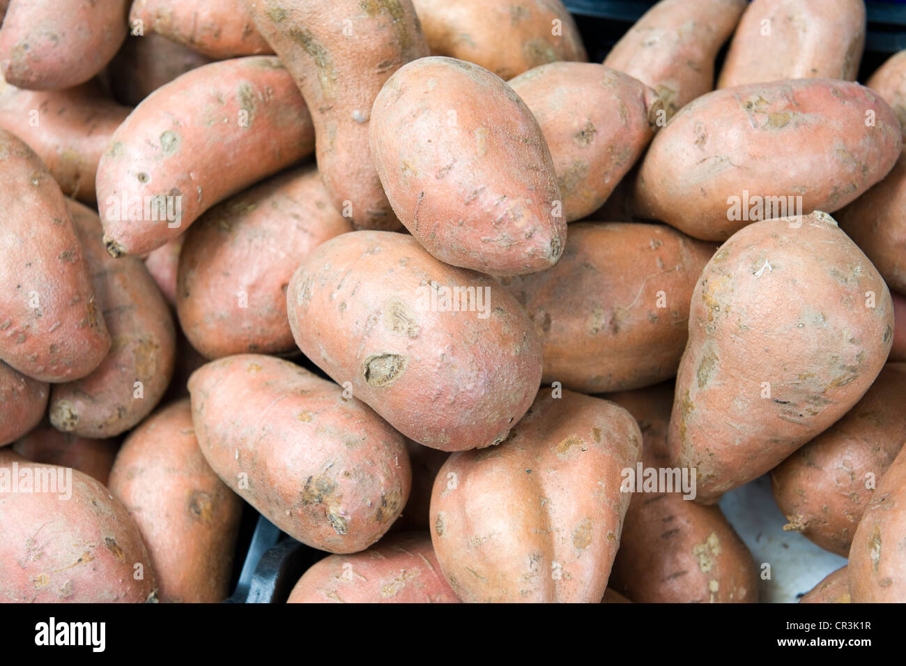 sweet potatoes Stock Photo