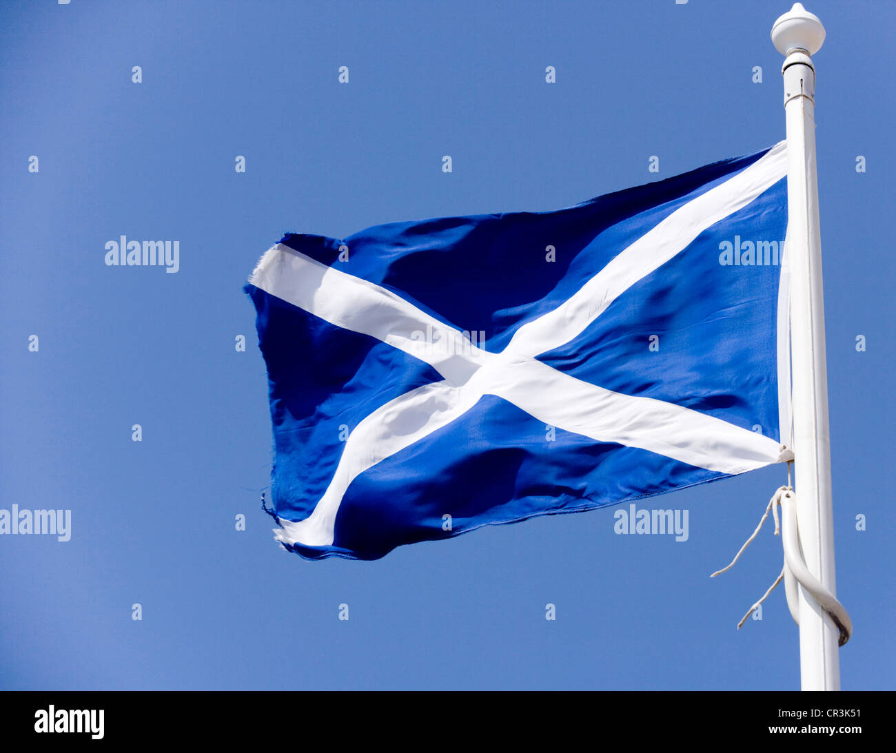 The Scottish Saltire flag. Stock Photo