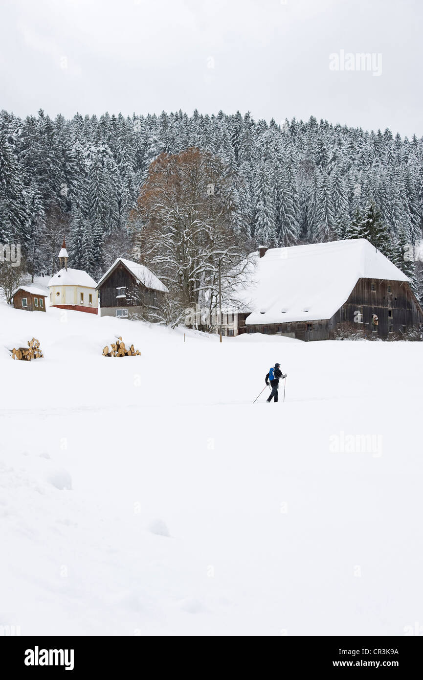 Crosscountry skiers at Hinterzarten, Black Forest, BadenWuerttemberg