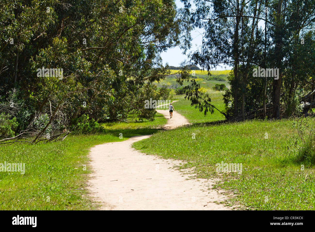 Woman walking on trail through trees in 'Santa Barbara' California Stock Photo