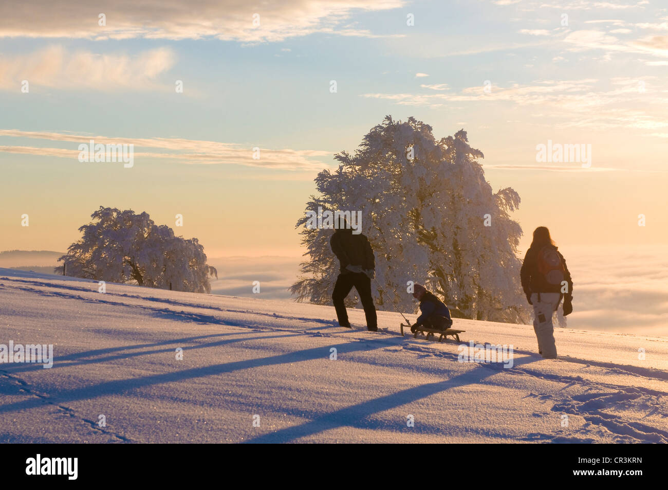 Winter landscape, family with a sled on Mt Schauinsland, Freiburg im Breisgau, Black Forest, Baden-Wuerttemberg, Germany, Europe Stock Photo