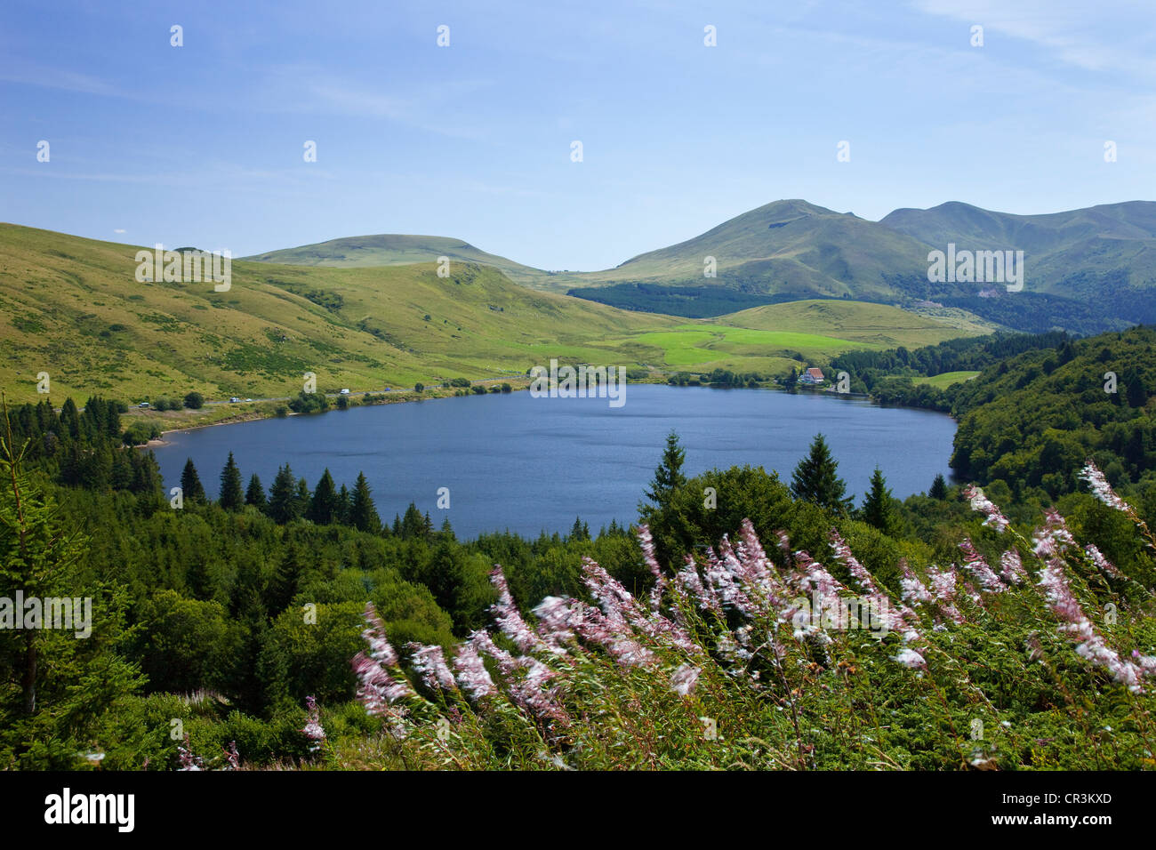 France, Puy de Dome, Parc Naturel Regional des Volcans d'Auvergne (Auvergne Volcanoes Natural France, Puy de Dome, Parc Naturel Regional des Volcans d'Auvergne (Auvergne Volcanoes Natural