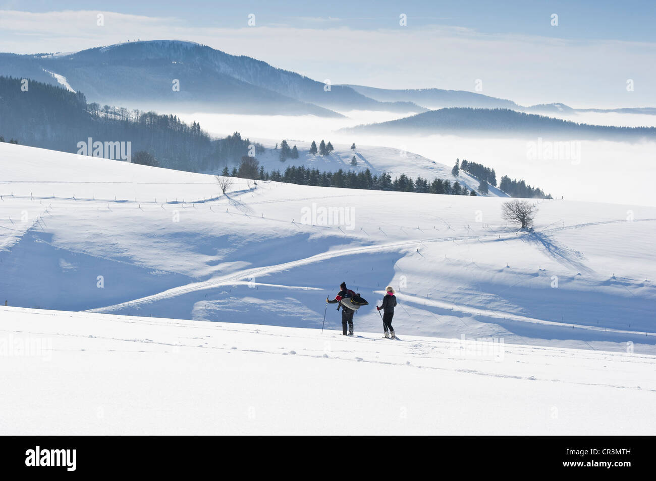 Snowshoe hikers walking on Schauinsland mountain near Freiburg im Breisgau, Black Forest mountain range, Baden-Wuerttemberg Stock Photo