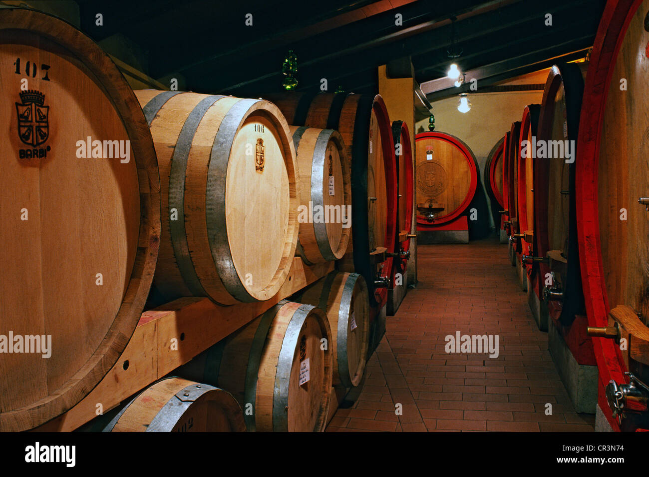 Wine Cellar, Fattoria dei Barbi. Podernovi, Montalcino, Siena, Tuscany