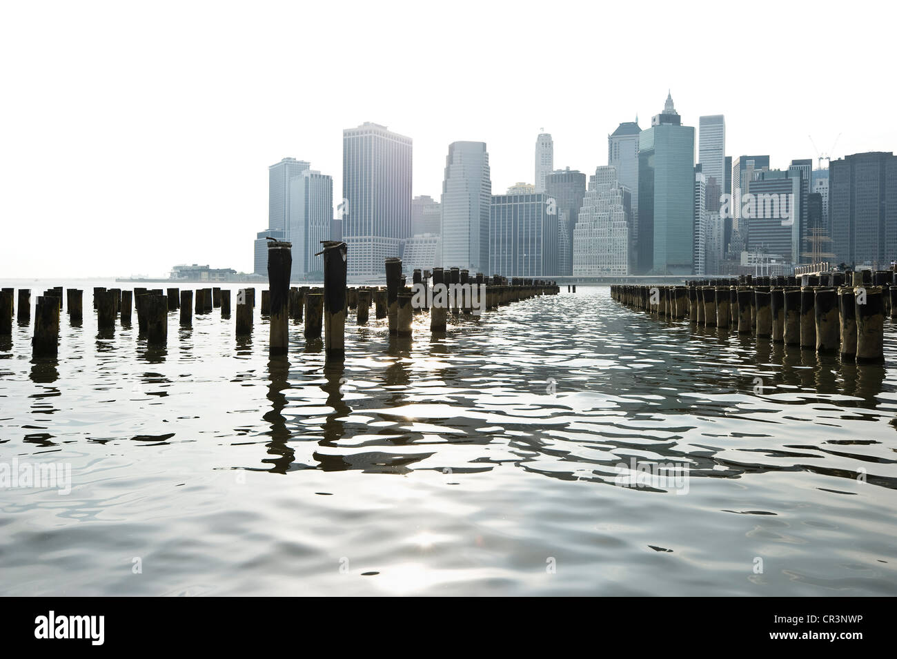 Skyline of Downtown Manhattan from Brooklyn, Manhattan, New York, USA, America Stock Photo