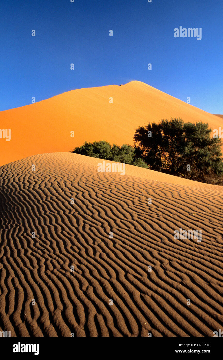 Namibia, Hardap Region, Namib desert, Namib Naukluft National Park ...