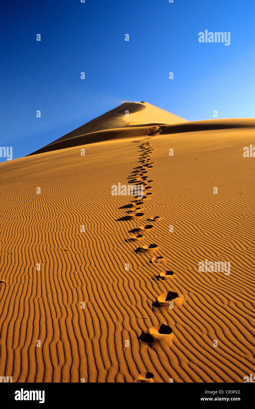 Namibia, Hardap Region, Namib desert, Namib Naukluft National Park ...