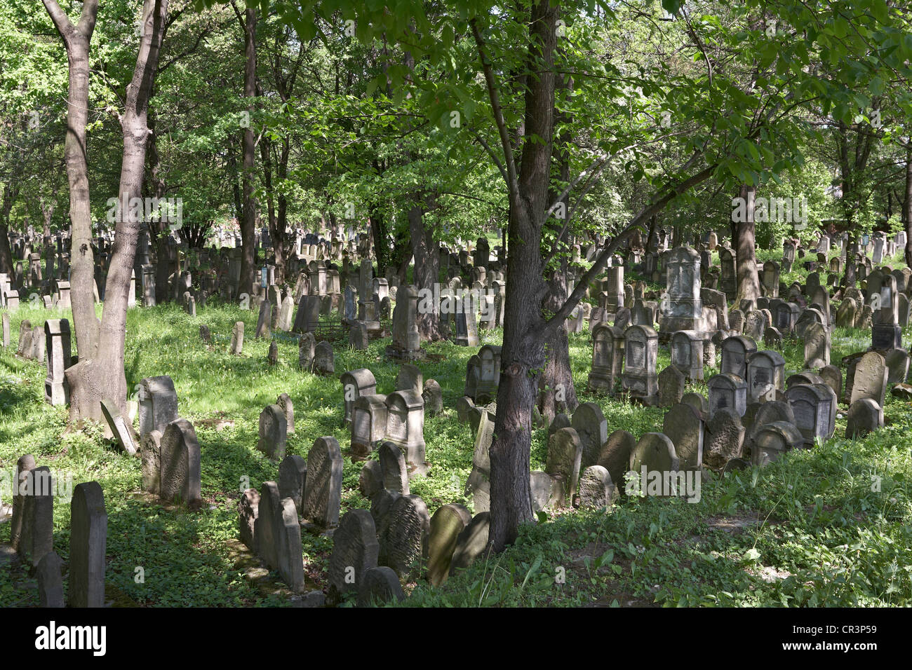 Eastern Europe Poland Malopolska Tarnow Jewish Cemetery established in 1580s now closed. Stock Photo