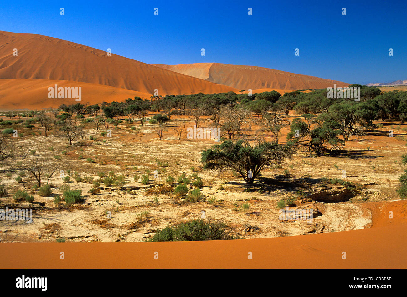 Namibia, Hardap Region, Namib desert, Namib Naukluft National Park ...