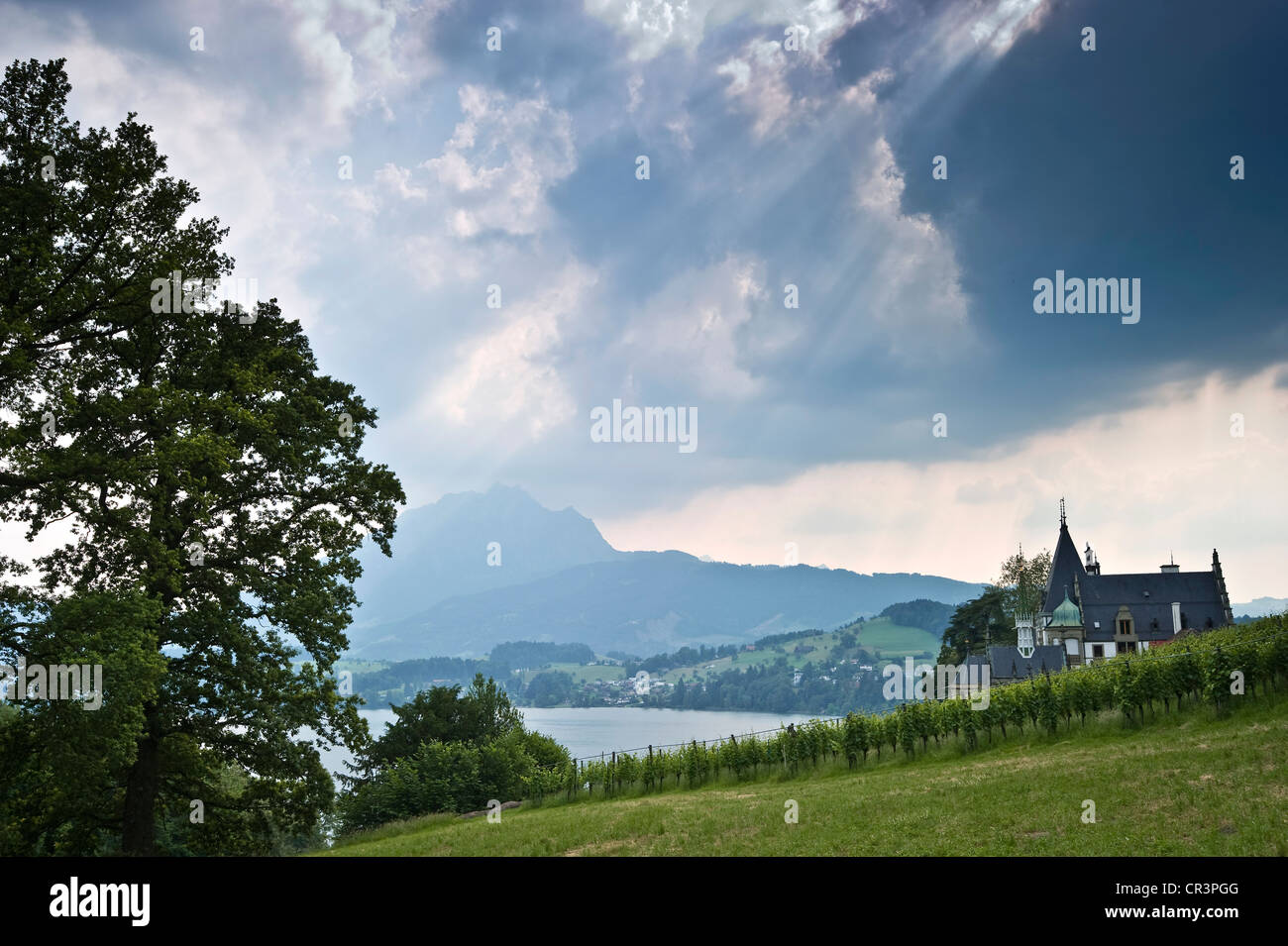 Schloss Meggenhorn Castle on Lake Lucerne, in the distance, Pilatus Mountain, Switzerland, Europe Stock Photo