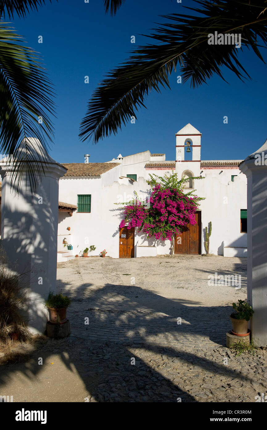 Conil de la Frontera. Costa de la Luz. White Town, Cadiz Province.  Andalucia. Spain Stock Photo - Alamy