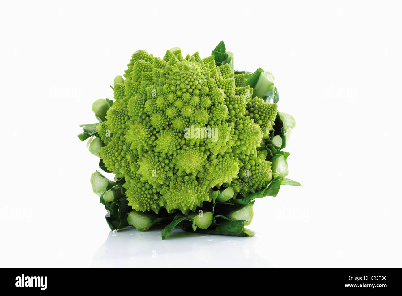 Romanesco Cauliflower (Brassica oleracea) Stock Photo