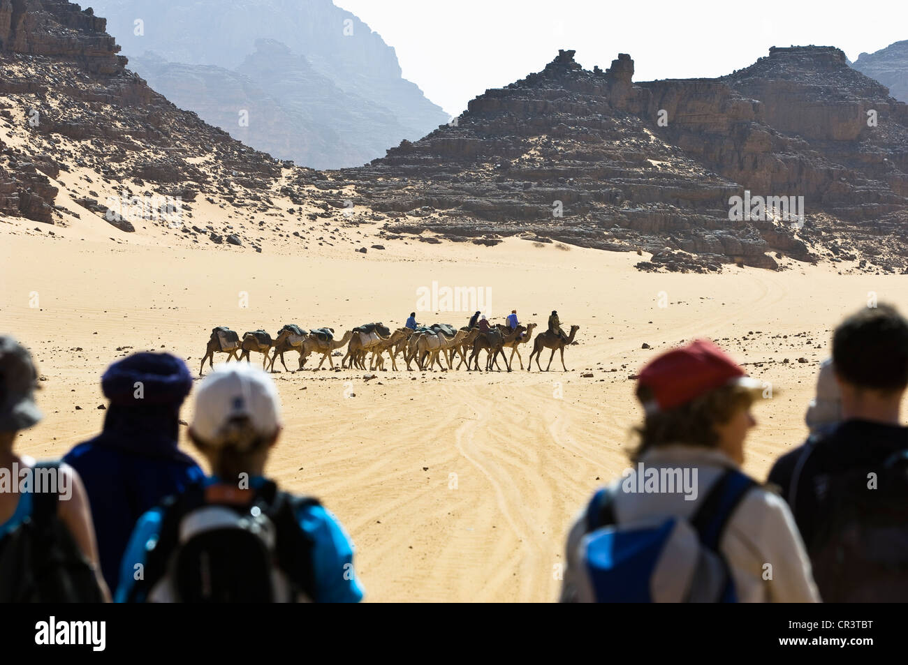 Algeria, Sahara near Djanet, Tassili N' Ajjer Massif, national park UNESCO World Heritage, caravan of dromedaries and excursion Stock Photo