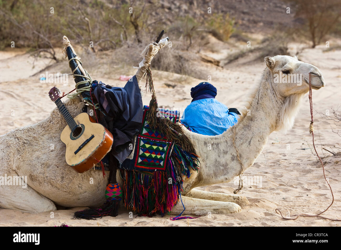 Algeria, Sahara near Djanet, Tassili N'Ajjer Massif, national park UNESCO World Heritage, tuareg man, in the guelta of Stock Photo