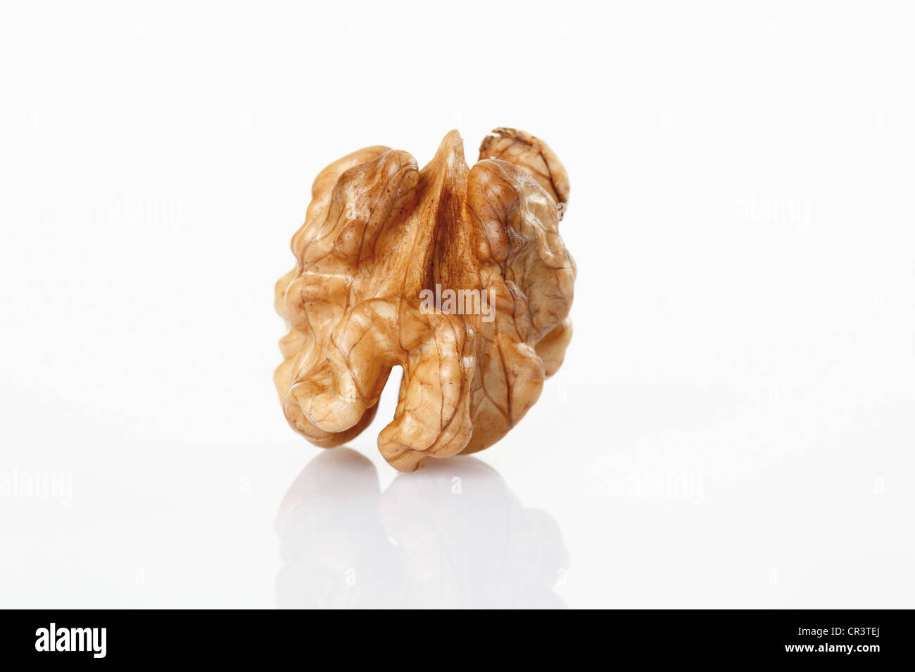 Walnut (Juglans regia), kernel Stock Photo