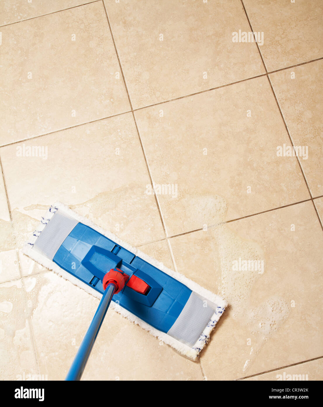 Cleaning,floor,service,mopped,equipment,washing,house,mop,kitchen,dirty