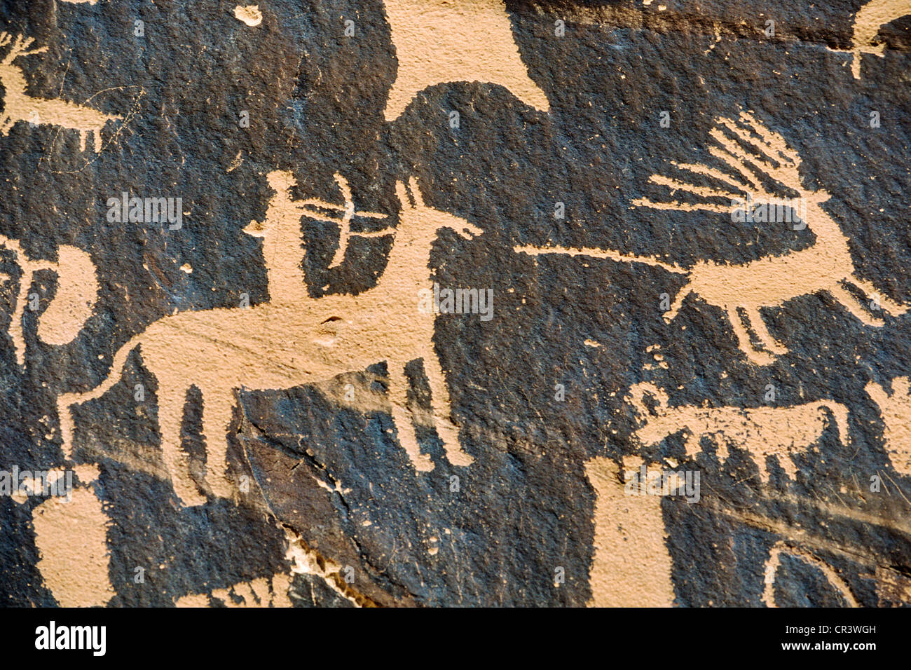 United States, Utah, pictogram in Zion National Park Stock Photo