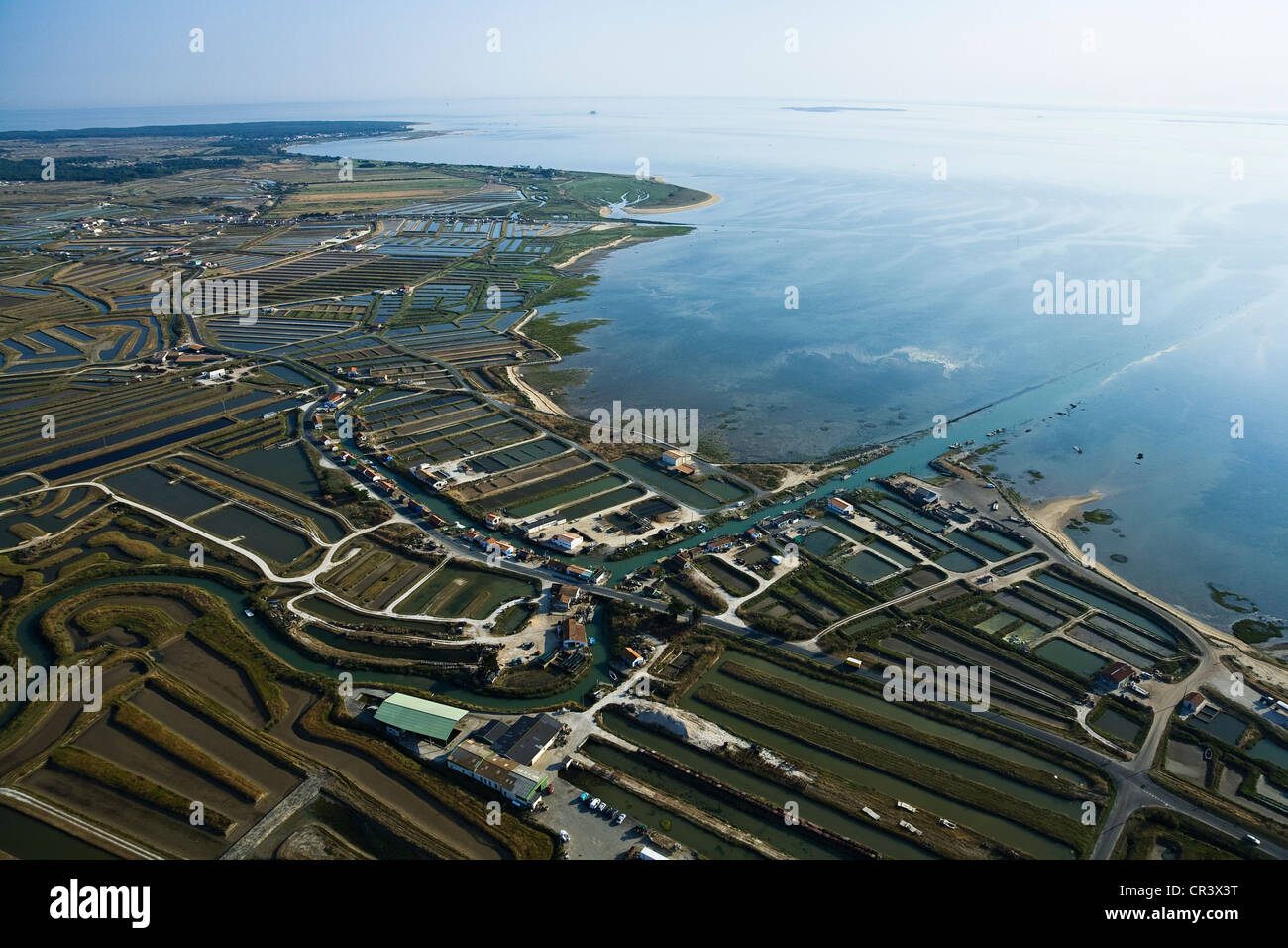 France, Charente Maritime, Ile d'Oleron, oyster village of Arceau