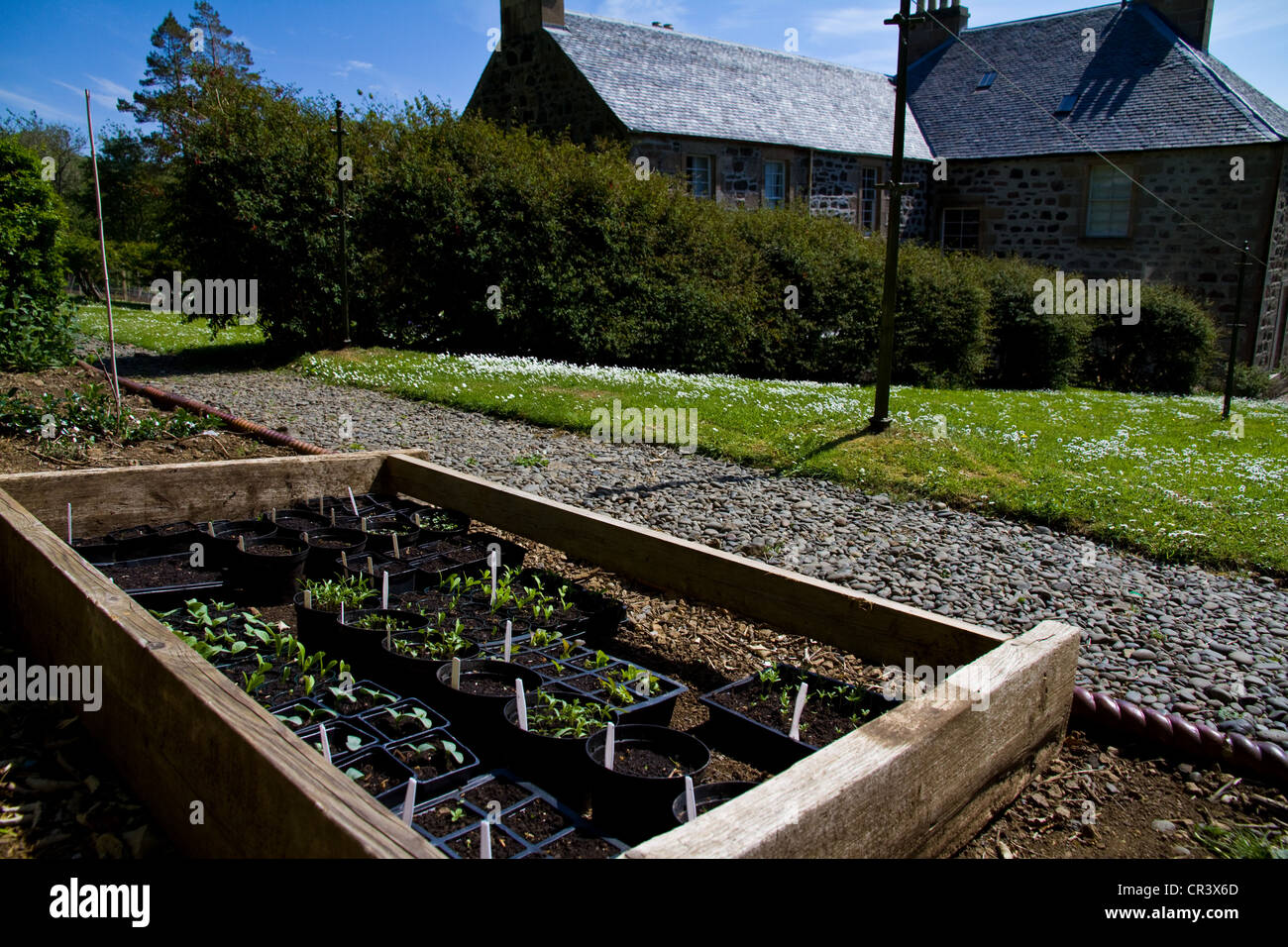 The cold frame in the garden at Canna House, Small Isles, Scotland Stock Photo