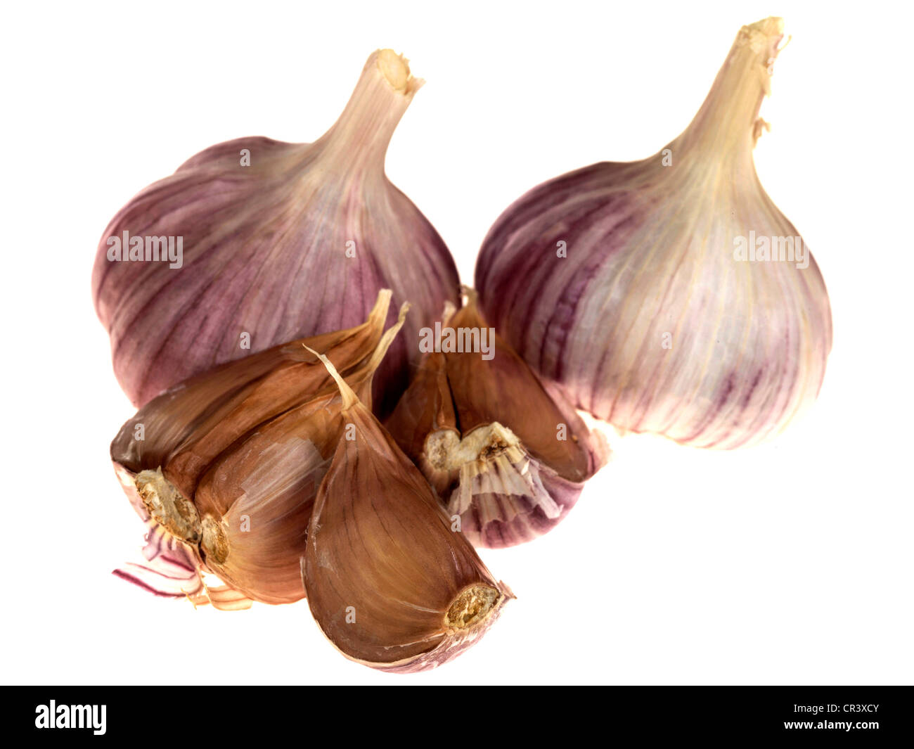 Purple Garlic Bulbs Stock Photo Alamy