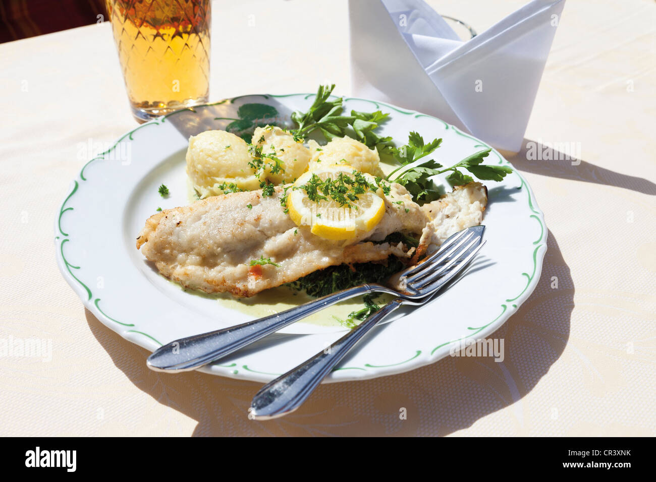 Fried pikeperch with mashed potatoes and spinach Stock Photo