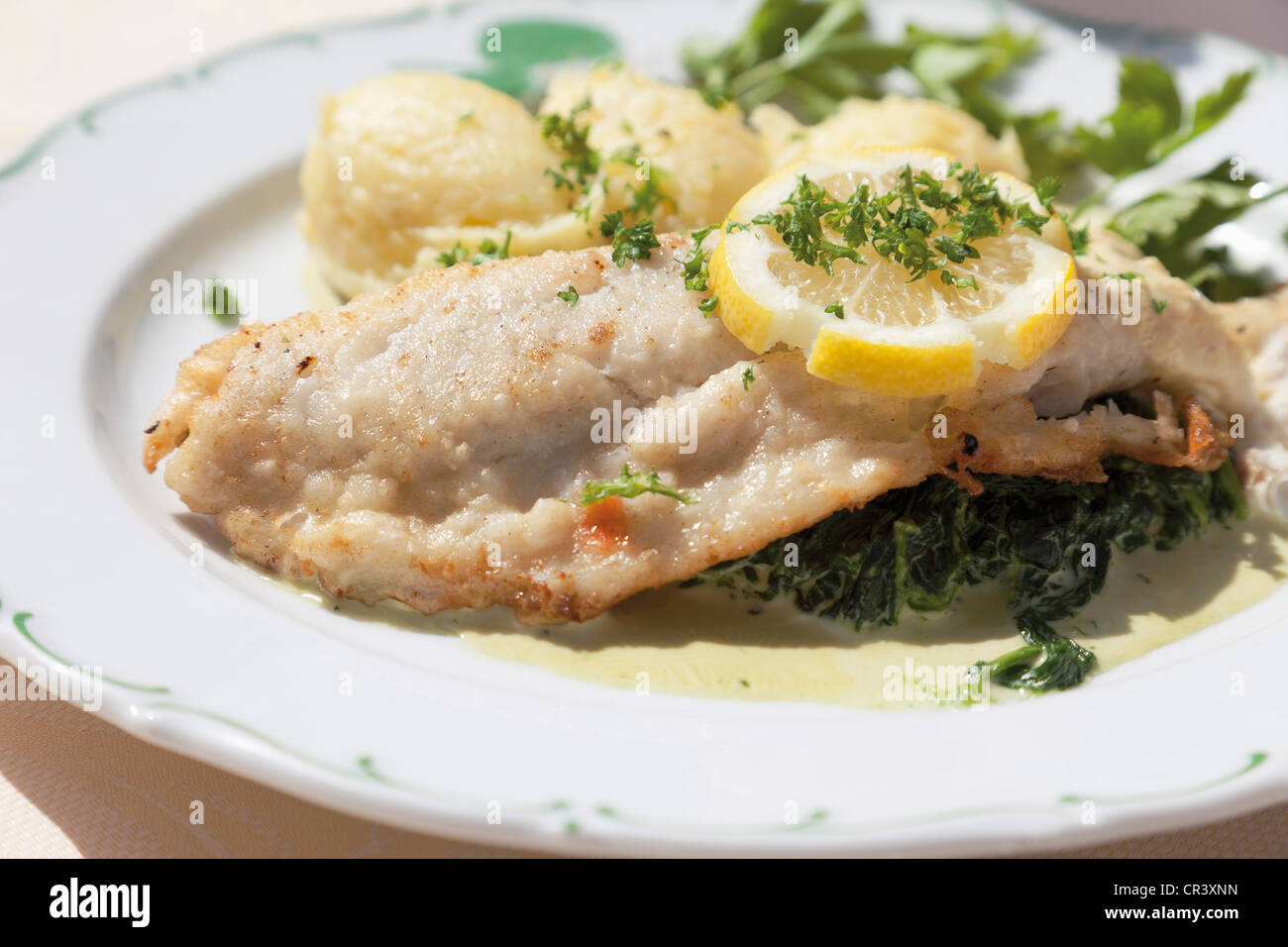 Fried pikeperch with mashed potatoes and spinach Stock Photo